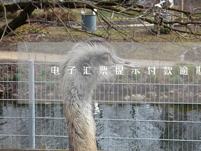 电子汇票提示付款逾期理由 电子汇票提示付款逾期理由