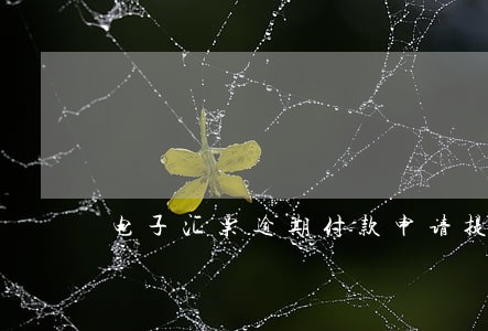 电子汇票逾期付款申请提交失败 电子汇票逾期付款申请提交失败