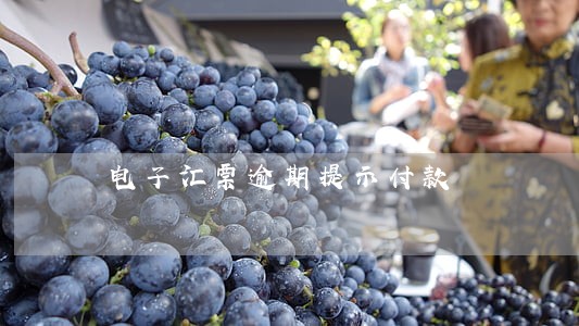 电子汇票逾期提示付款 电子汇票逾期提示付款