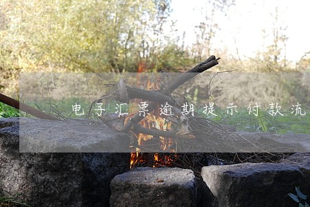 电子汇票逾期提示付款流程 电子汇票逾期提示付款流程