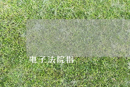 电子法院指 电子法院指