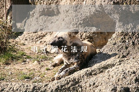 电子烟花法规 电子烟花法规