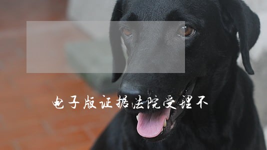 电子版证据法院受理不 电子版证据法院受理不