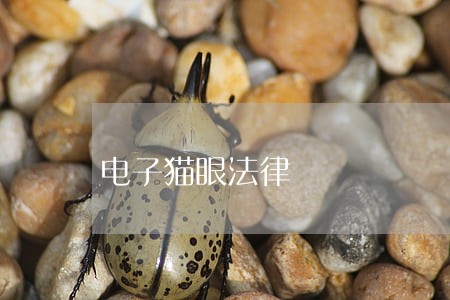 电子猫眼法律 电子猫眼法律