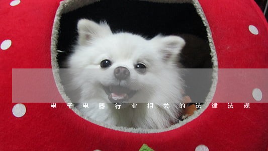 电子电器行业相关的法律法规 电子电器行业相关的法律法规