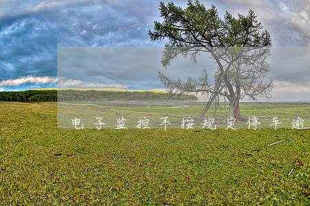 电子监控不按规定停车逾期处理 电子监控不按规定停车逾期处理
