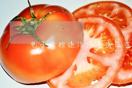 电子监控违法停车有没有照片 电子监控违法停车有没有照片