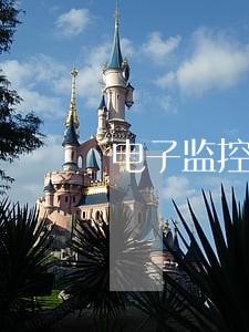 电子监控违法行为逾期 电子监控违法行为逾期