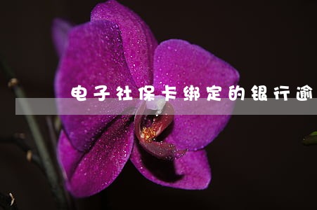 电子社保卡绑定的银行逾期 电子社保卡绑定的银行逾期