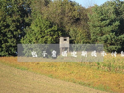 电子票据逾期提示付款多久到账 电子票据逾期提示付款多久到账