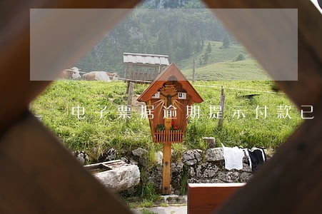 电子票据逾期提示付款已拒付 电子票据逾期提示付款已拒付