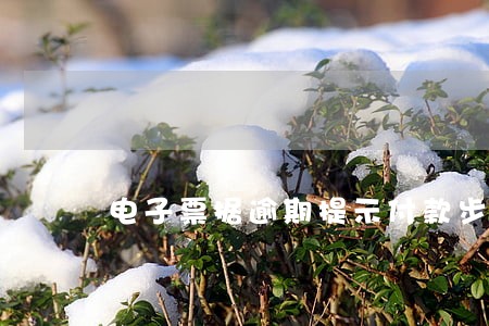 电子票据逾期提示付款步骤 电子票据逾期提示付款步骤