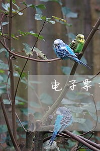 电子票据逾期提示付款理由 电子票据逾期提示付款理由