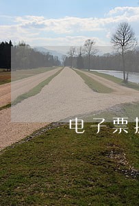 电子票据逾期提示付款说明 电子票据逾期提示付款说明