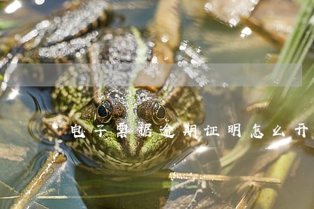 电子票据逾期证明怎么开 电子票据逾期证明怎么开