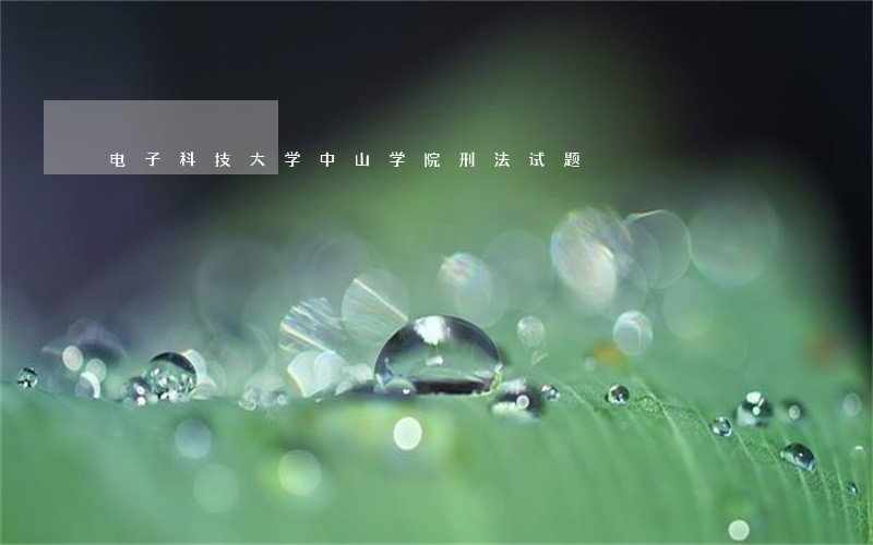 电子科技大学中山学院刑法试题