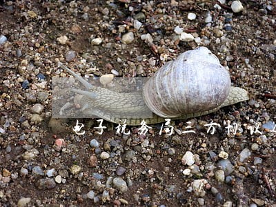 电子税务局三方协议逾期怎么办 电子税务局三方协议逾期怎么办