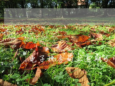 电子税务局上逾期可以申报嘛 电子税务局上逾期可以申报嘛