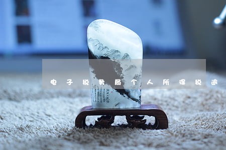 电子税务局个人所得税逾期申报 电子税务局个人所得税逾期申报