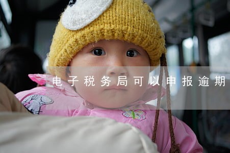 电子税务局可以申报逾期吗 电子税务局可以申报逾期吗