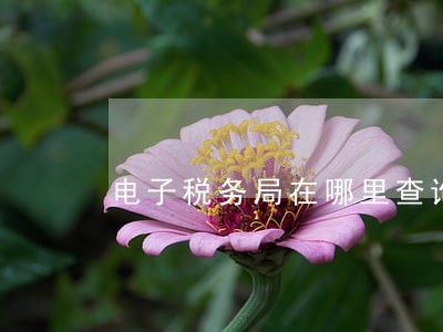 电子税务局在哪里查询逾期 电子税务局在哪里查询逾期