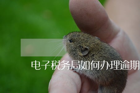 电子税务局如何办理逾期申报 电子税务局如何办理逾期申报