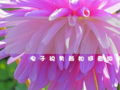 电子税务局如何查缴税逾期 电子税务局如何查缴税逾期