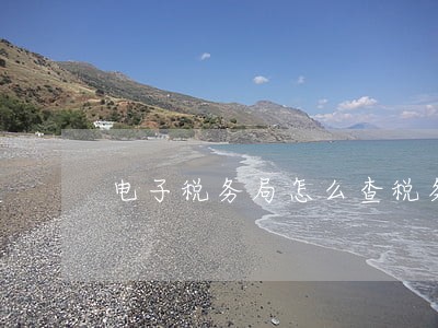 电子税务局怎么查税务逾期 电子税务局怎么查税务逾期