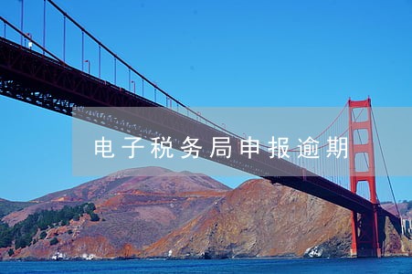 电子税务局申报逾期 电子税务局申报逾期