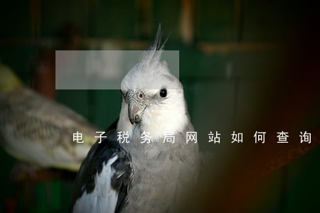 电子税务局网站如何查询逾期 电子税务局网站如何查询逾期