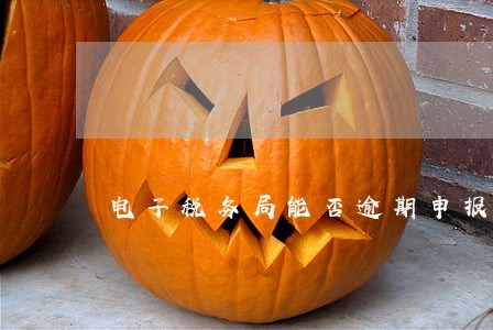 电子税务局能否逾期申报 电子税务局能否逾期申报