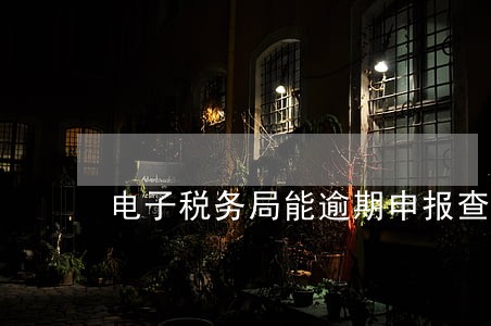 电子税务局能逾期申报查询