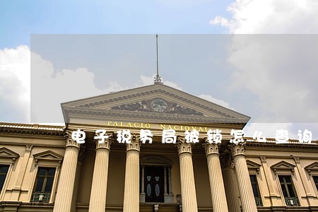 电子税务局被锁怎么查询逾期申报 电子税务局被锁怎么查询逾期申报