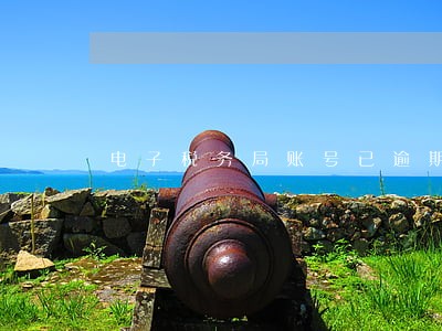 电子税务局账号已逾期是什么意思 电子税务局账号已逾期是什么意思