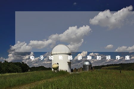 电子税务局逾期如何作废申报 电子税务局逾期如何作废申报