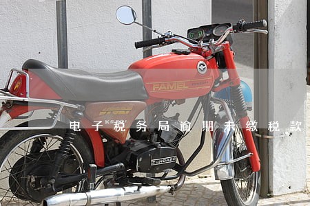 电子税务局逾期未缴税款