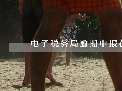 电子税务局逾期申报在哪查 电子税务局逾期申报在哪查