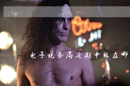 电子税务局逾期申报在哪查询 电子税务局逾期申报在哪查询
