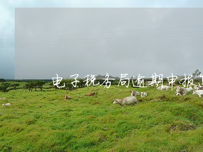 电子税务局逾期申报怎么查
