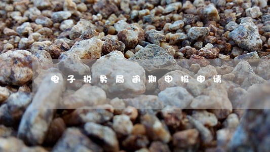 电子税务局逾期申报申请