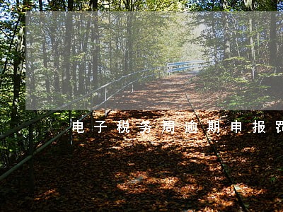 电子税务局逾期申报罚款 电子税务局逾期申报罚款