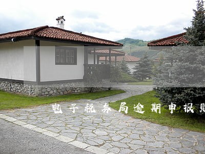 电子税务局逾期申报财务报表 电子税务局逾期申报财务报表