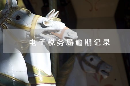 电子税务局逾期记录 电子税务局逾期记录
