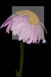 电子税务显示逾期 电子税务显示逾期
