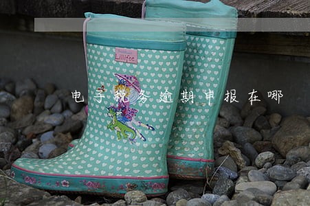 电子税务逾期申报在哪 电子税务逾期申报在哪