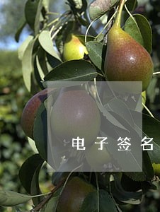 电子签名法司法