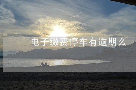 电子缴费停车有逾期么 电子缴费停车有逾期么