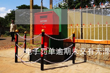 电子罚单逾期未交有无滞纳金 电子罚单逾期未交有无滞纳金