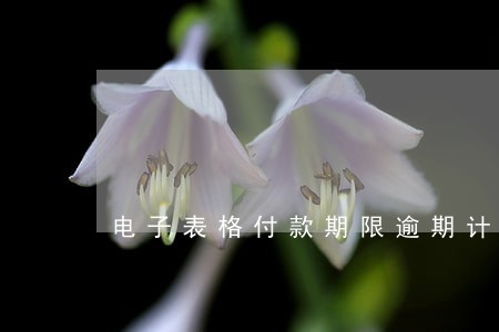 电子表格付款期限逾期计算 电子表格付款期限逾期计算