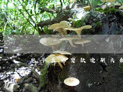 电子表格贷款逾期天数公式 电子表格贷款逾期天数公式